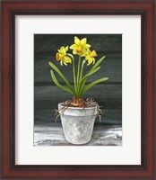 Framed Farmhouse Garden I-Daffodils