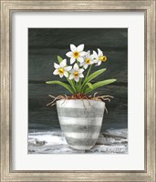 Framed Farmhouse Garden II-White Daffodils