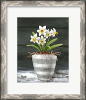 Framed Farmhouse Garden II-White Daffodils