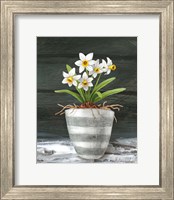 Framed 'Farmhouse Garden II-White Daffodils' border=