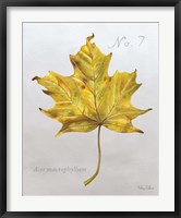 Framed Autumn Leaves on Gray II-Maple 2