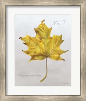 Framed Autumn Leaves on Gray II-Maple 2