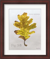 Framed Autumn Leaves on Gray III-Oak