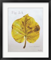 Autumn Leaves on Gray IV-Redbud Framed Print