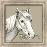 Framed 'Horse' border=