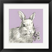 Framed 'Rabbit' border=