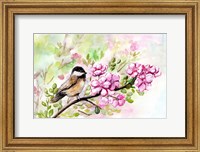 Framed Spring Chickadee and Apple Blossoms