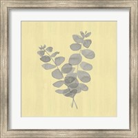 Framed Natural Inspiration Eucalyptus Gray & Yellow I