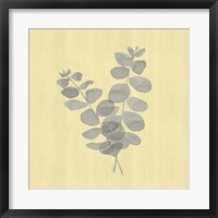 Framed Natural Inspiration Eucalyptus Gray & Yellow I