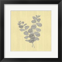Natural Inspiration Eucalyptus Gray & Yellow I Framed Print