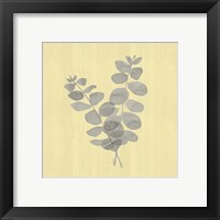 Framed 'Natural Inspiration Eucalyptus Gray & Yellow I' border=