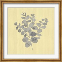Framed Natural Inspiration Eucalyptus Gray & Yellow II