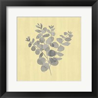 Natural Inspiration Eucalyptus Gray & Yellow II Framed Print