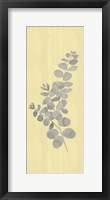 Natural Inspiration Eucalyptus Panel Gray & Yellow I Framed Print