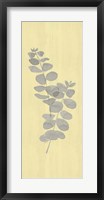 Framed Natural Inspiration Eucalyptus Panel Gray & Yellow II