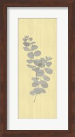 Framed Natural Inspiration Eucalyptus Panel Gray & Yellow II