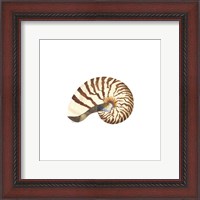 Framed Oceanum Shells White III-Nautilus