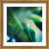 Framed Evergreen No. 1