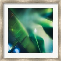 Framed Evergreen No. 1