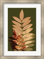 Framed Fall Leaves 2
