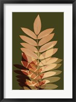 Fall Leaves 2 Framed Print