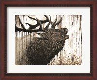 Framed Bugling Bull Elk