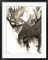 Framed Bull Moose