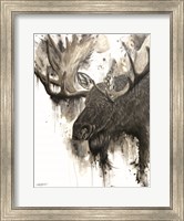 Framed Bull Moose