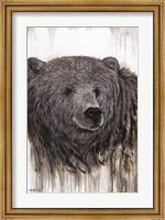 Framed Giant Kodiak