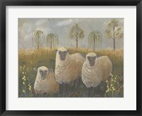 Framed Three Sheep