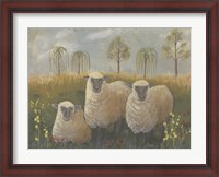Framed Three Sheep