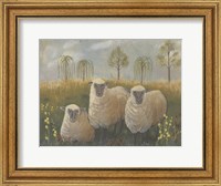 Framed Three Sheep