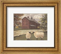 Framed Hancock Sheep