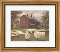 Framed Hancock Sheep