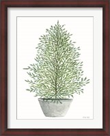 Framed Cedar Tree in Pot