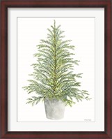 Framed Spruce Tree in Pot