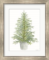 Framed Spruce Tree in Pot