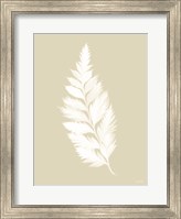 Framed Botanical White Fern