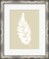 Framed Botanical White Fern