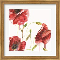 Framed Poppies