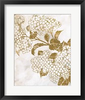 Brass Beauty 2 Framed Print