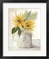 Framed Sunflower Harvest