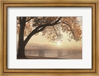 Framed Golden Moments