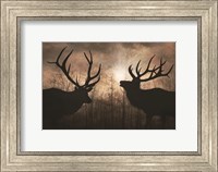 Framed Elk Sunrise III