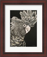 Framed Gray Cockatoo