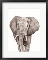 Framed Safari Elephant Peek-a-boo