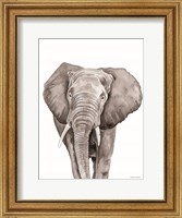 Framed Safari Elephant Peek-a-boo