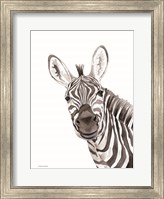 Framed Safari Zebra Peek-a-boo