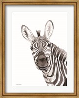 Framed Safari Zebra Peek-a-boo