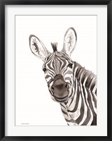 Framed Safari Zebra Peek-a-boo